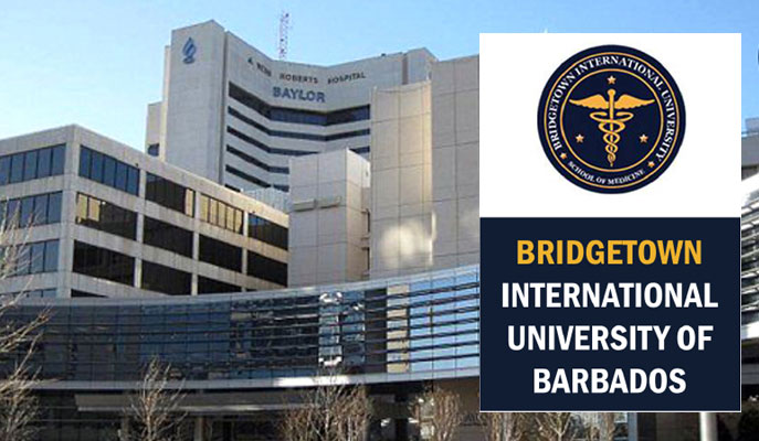 Overseas education guidance Bridgetown International University